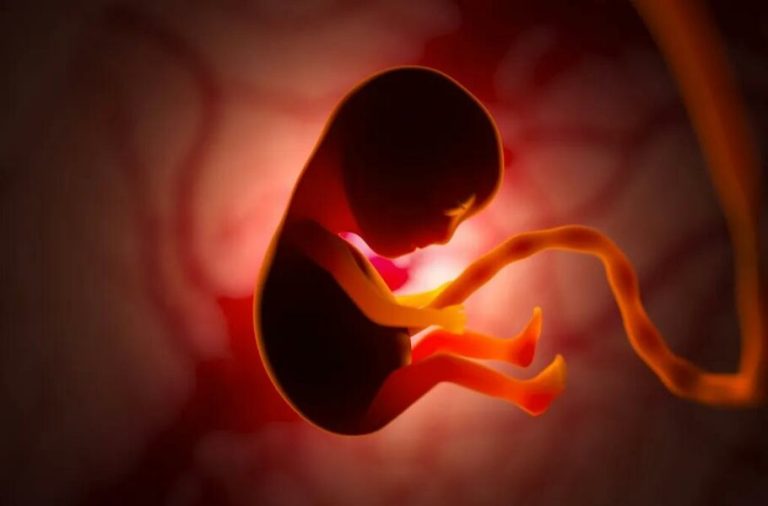 مطالعهای جدید: جنین از یک ژن خاص برای ربودن مواد مغذی از مادر استفاده میکند