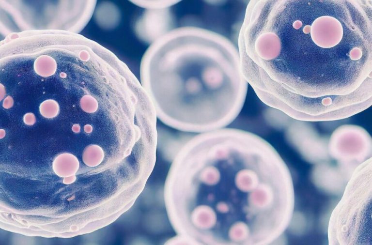 پزشکان از احتمال ششمین مورد درمان ایدز خبر می‌دهند