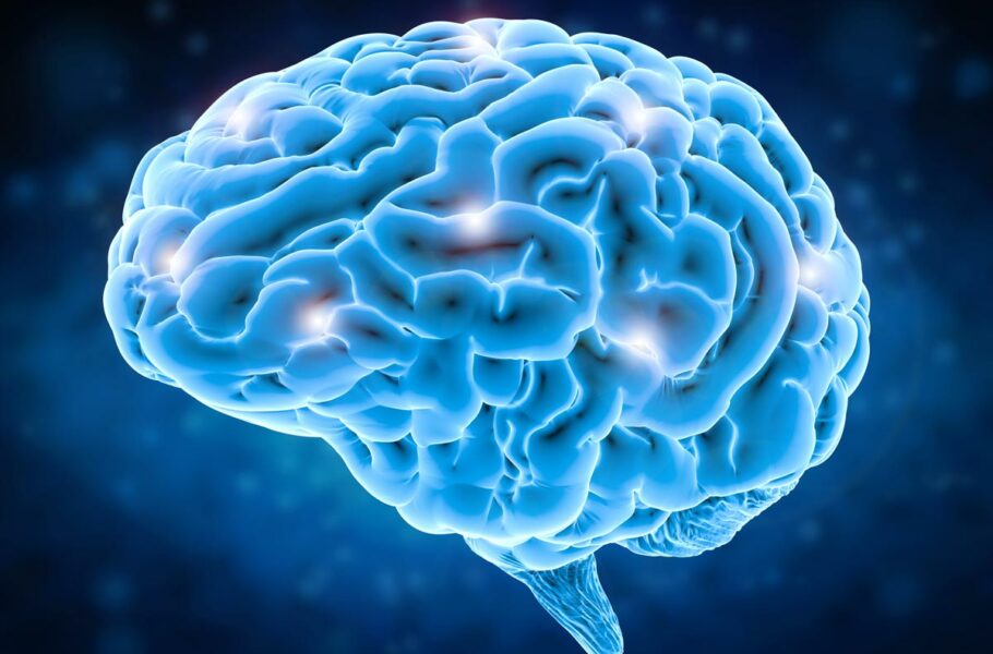 پژوهشگران از ارتباط میان تغییرات اقلیمی و کوچک‌شدن اندازه مغز انسان خبر می‌دهند