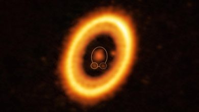 کشف عجیب دو سیاره که در یک مدار مشترک به دور ستاره خود میگردند