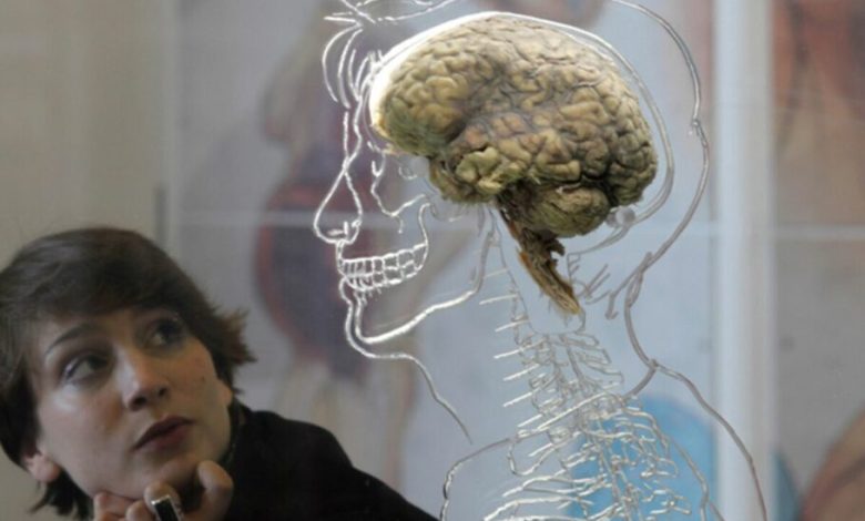 آیا واقعاً تنها از 10 درصد مغز خود استفاده می‌کنیم؟