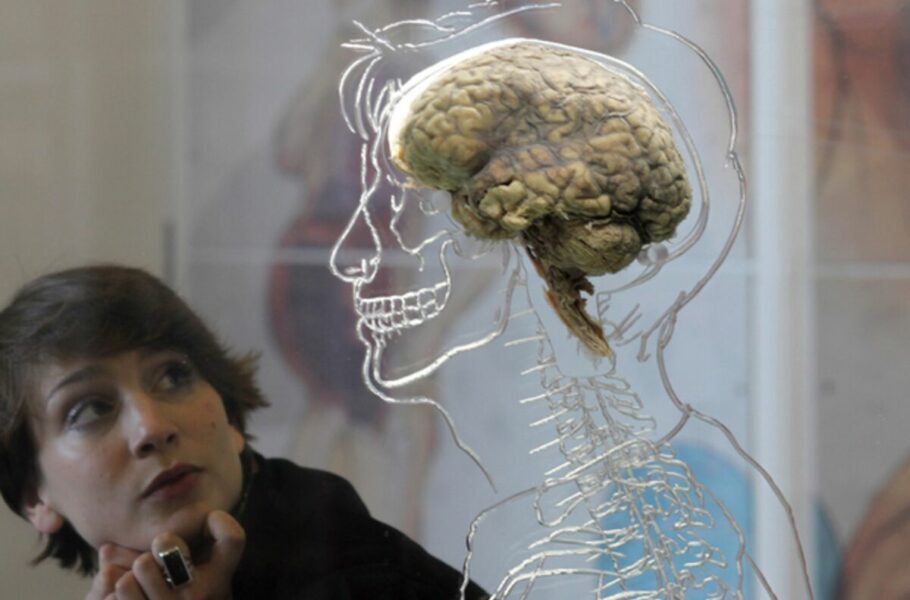 آیا واقعاً تنها از 10 درصد مغز خود استفاده می‌کنیم؟