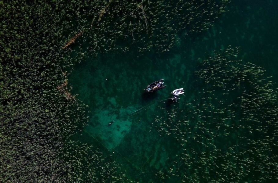 باستان‌شناسان قدیمی‌ترین روستای کنار دریاچه اروپا با خصوصیاتی مرموز را کشف کردند