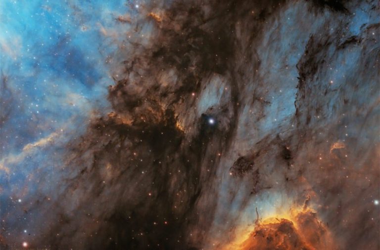 تصویر روز ناسا: سحابی پلیکان محصور در گاز، غبار و ستاره‌ها