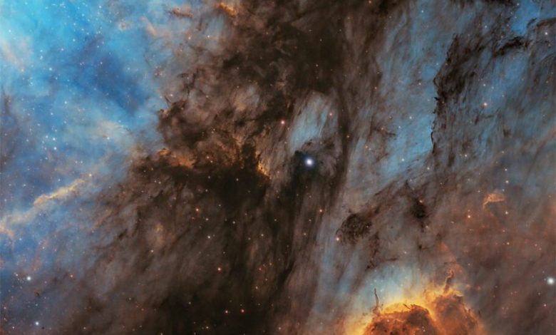 تصویر روز ناسا: سحابی پلیکان محصور در گاز، غبار و ستاره‌ها