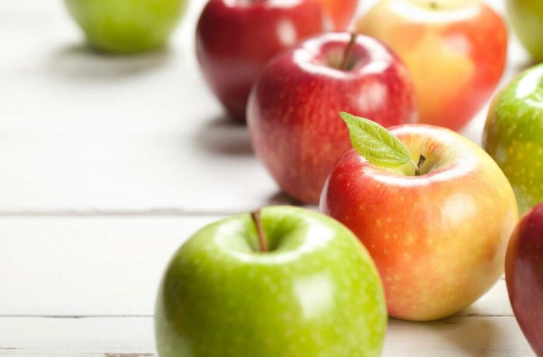 محققان: مصرف غذاهای سالم توسط مادر میتواند تا چند نسل سلامت مغز فرزندان را بهبود دهد