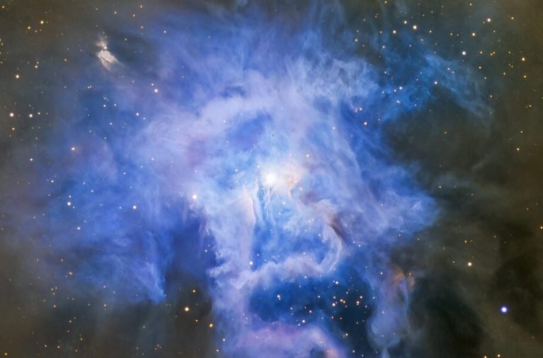 تصویر روز ناسا: NGC 7023 یا سحابی زنبق