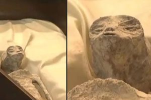 ویدئویی از اجساد متعلق به «موجودات بیگانه» در کنگره مکزیک به نمایش گذاشته شد + ویدئو