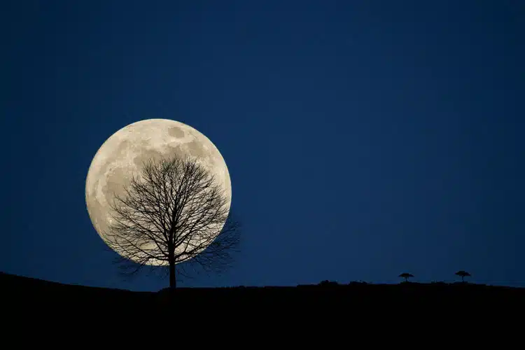طول محیط ماه در چند صد میلیون‌ سال گذشته ۱۰۰ متر کاهش یافته است