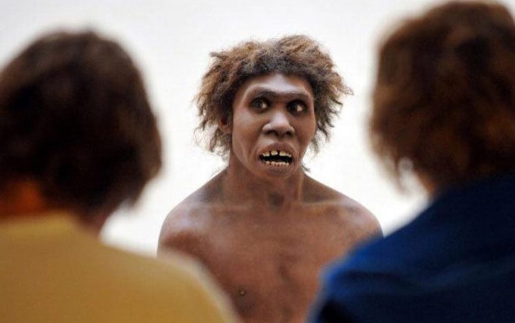 انسان‌ها از ۱.۶ میلیون‌ سال پیش شروع به حرف زدن کرده‌اند