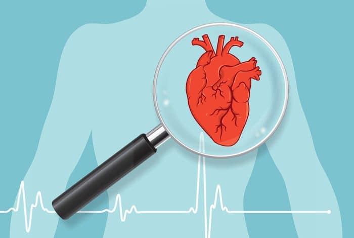 ضربان قلب در حالت استراحت یکی از نشانه‌های تناسب اندام و طول عمر است