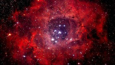گل کیهانی: سحابی گل رز NGC 2237 در صورت فلکی مونوکروس