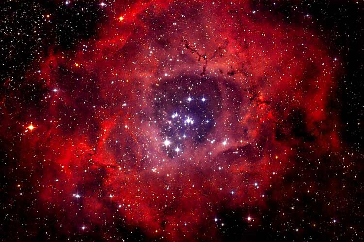 گل کیهانی: سحابی گل رز NGC 2237 در صورت فلکی مونوکروس