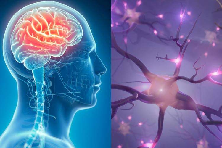 احتمال ابتلا به آلزایمر در سالمندان مجرد کمتر است
