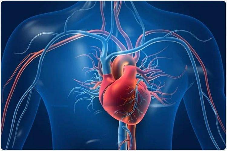 ضعف شنوایی خطر نارسایی قلبی را افزایش می‌دهد