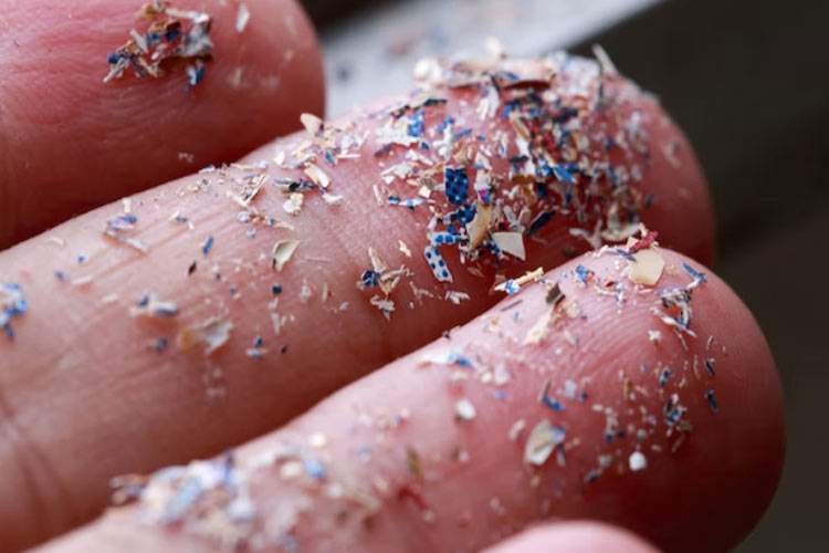 ریزپلاستیک‌های موجود در مغز از غذاهای فوق‌فراوری‌شده می‌آیند؟