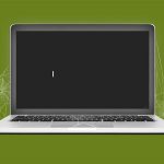 هوش مصنوعی در حال نابودی وب سنتی است