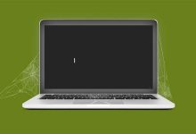 هوش مصنوعی در حال نابودی وب سنتی است