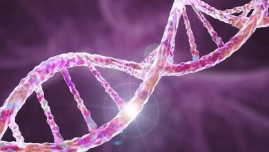 از والدین خود چه ژن‌هایی را به ارث می‌بریم؟