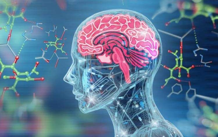 اوزمپیک از سکته مغزی جلوگیری میکند؟