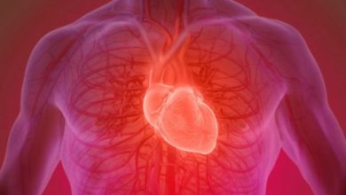 چرا سرطان قلب نادر است؟ بررسی علمی مقاومت منحصربه‌فرد سلول‌های قلبی