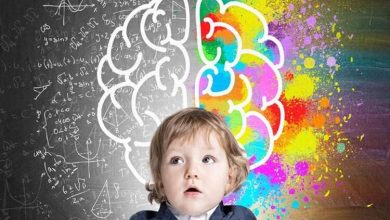 چگونه ساختار مغز کودکان مسیر موفقیت ذهنی را رقم می‌زند!