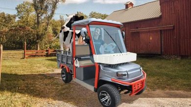 گلفکارت 2000 دلاری چینی با هویت وانت؛ ترکیبی عجیب اما کاربردی