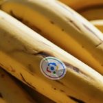 ادغام Nano Banana با NotebookLM و جست‌وجوی گوگل؛ مرزهای جدید خلاقیت با هوش مصنوعی