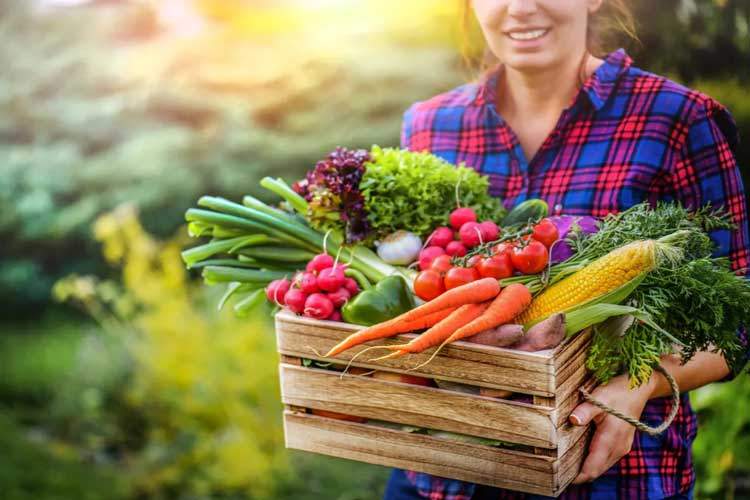 اصلاح رژیم غذایی علاوه بر کاهش آلاینده‌ها جان میلیون‌ها انسان را نجات می‌دهد