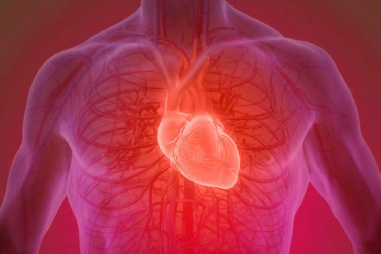 روند نزولی سلامت قلب از ۱۷ سالگی آغاز می‌شود