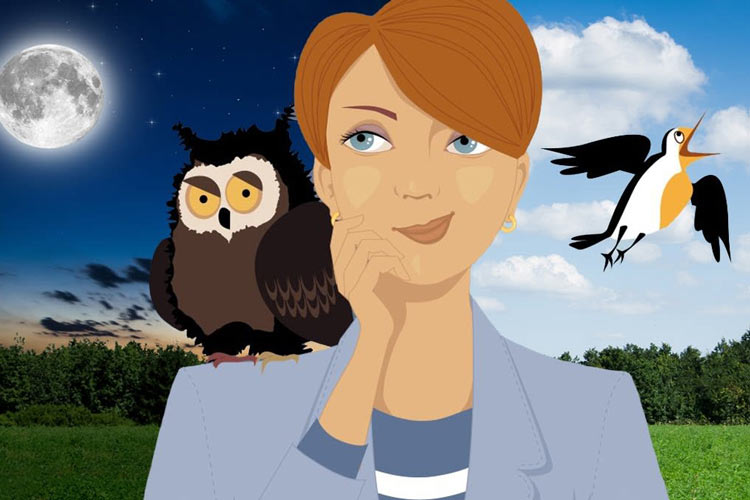 شبزندهداران باهوشترند؟ حقایقی شگفتانگیز از تحقیقات جدید