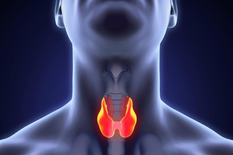درمان سرطان تیروئید: از تشخیص زودهنگام تا رویکردهای کمتهاجمی نوین