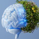 هوش مصنوعی جدید قوانین پنهان طبیعت را کشف میکند