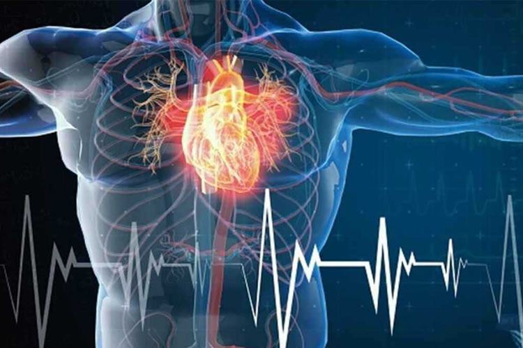 چهار عادت ساده که از حمله قلبی جلوگیری میکنند