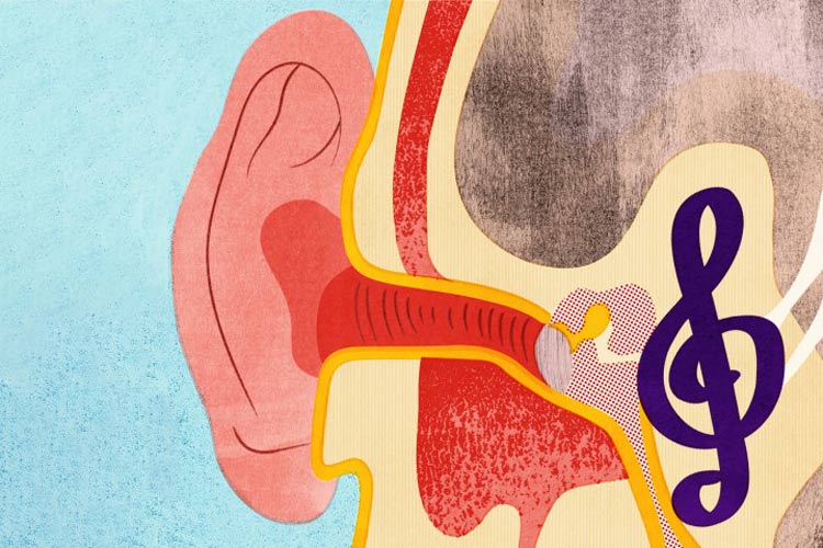 رازهای مغز: چرا آهنگها در ذهن شما گیر میکنند؟