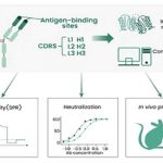 هوش مصنوعی، انقلابی در واکسنهای سریع و دقیق آنفلوآنزا!