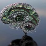 فقط ۲٪ کمآبی؛ تهدیدی جدی برای عملکرد مغز