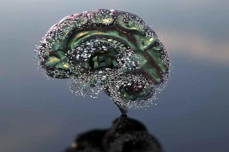 فقط ۲٪ کمآبی؛ تهدیدی جدی برای عملکرد مغز