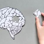 کشف روش جدید برای کند کردن افت حافظه در آلزایمر